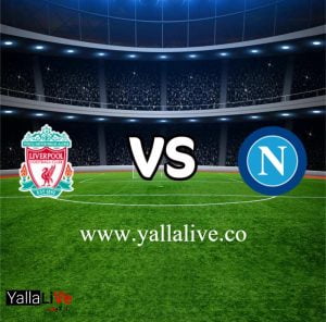 مشاهدة مباراة نابولي وليفربول بث مباشر اليوم7-9-2022 يلا لايف بطولة دوري أبطال أوروبا