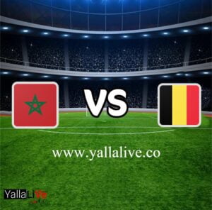 معلومات مباراة بلجيكا والمغرب بث مباشر اليوم 27/11/2022 يلا لايف بطولة كأس العالم