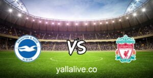 يلا لايف مباراة برايتون وليفربول بث مباشر اليوم 14/1/2023 يلا لايف الدوري الانجليزي الممتاز