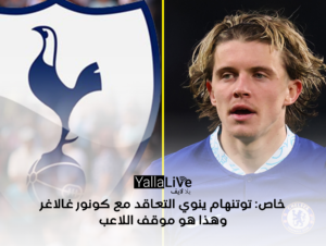 خاص: توتنهام ينوي التعاقد مع كونور غالاغر وهذا هو موقف اللاعب